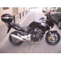 Pelacrash Honda CBF-CB 600 Hornet 2001-06