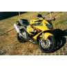 Pelacrash Honda CBR 900R 2000-03 (no mod. anterior)