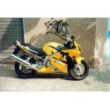 Pelacrash Honda CBR 600F Sport 2001-08