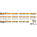 Pack de verano Goyamoto GM-3125