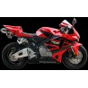 Pelacrash Honda CBR 600 RR 2003-06