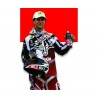 Casco Shiro cross MX-912 Wild Wolf