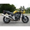Pelacrash Yamaha Fazer 1000 2001-05