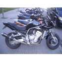 Pelacrash Yamaha Fazer 1000 2001-05
