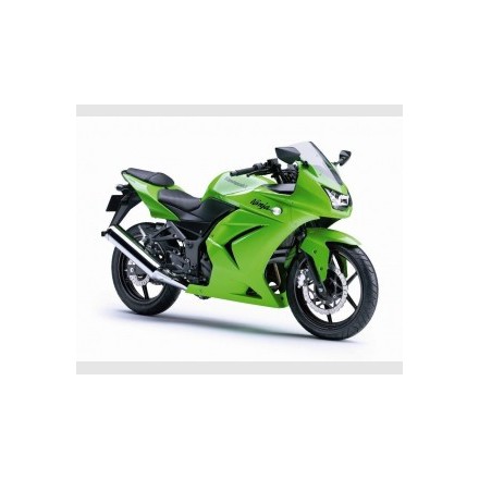Pelacrash Kawasaki ZXR 250