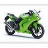 Pelacrash Kawasaki ZXR 250