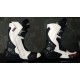Botas racing ZX-ONE XPRO 002