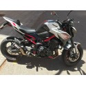 Pelacrash Kawasaki Z900 2017-23