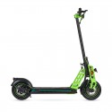 Patinete eléctrico Bison Green - Homologado DGT